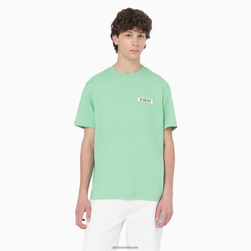 menta de manzana (ar2) hombres camiseta de manga corta ciudad panadero Dickies vestir X4H0F882