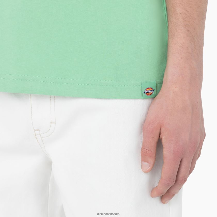 menta de manzana (ar2) hombres camiseta de manga corta ciudad panadero Dickies vestir X4H0F882