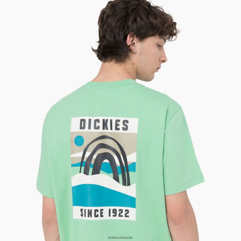 menta de manzana (ar2) hombres camiseta de manga corta ciudad panadero Dickies vestir X4H0F882