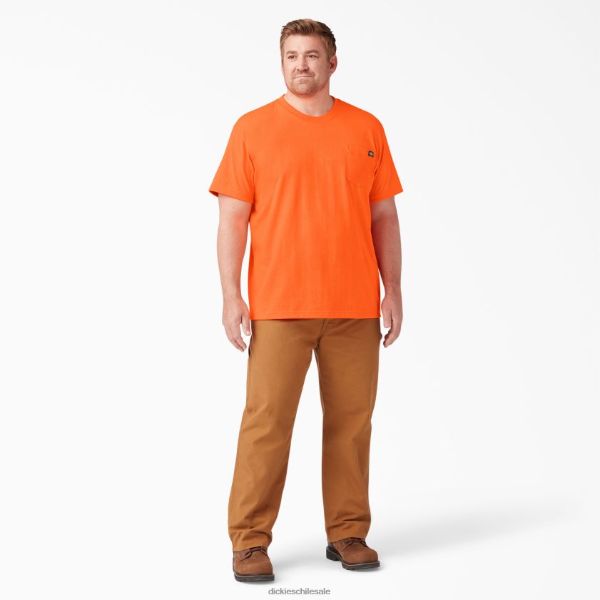 naranja brillante (bod) hombres camiseta de manga corta de neón de peso pesado Dickies vestir X4H0F570
