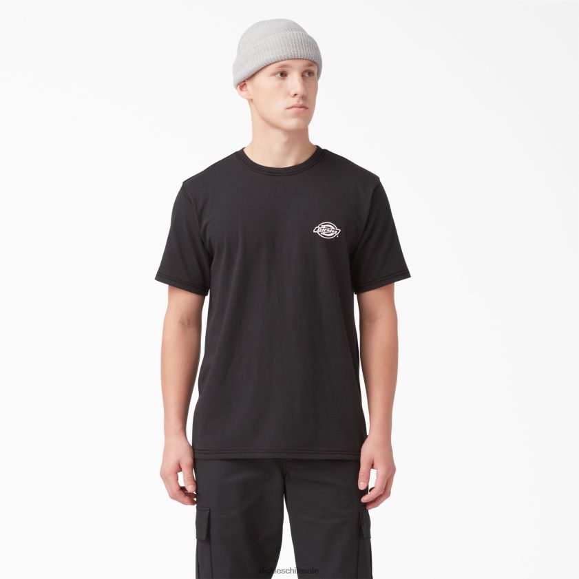 negro (kbk) hombres camiseta gráfica con logo en la espalda Dickies vestir X4H0F749