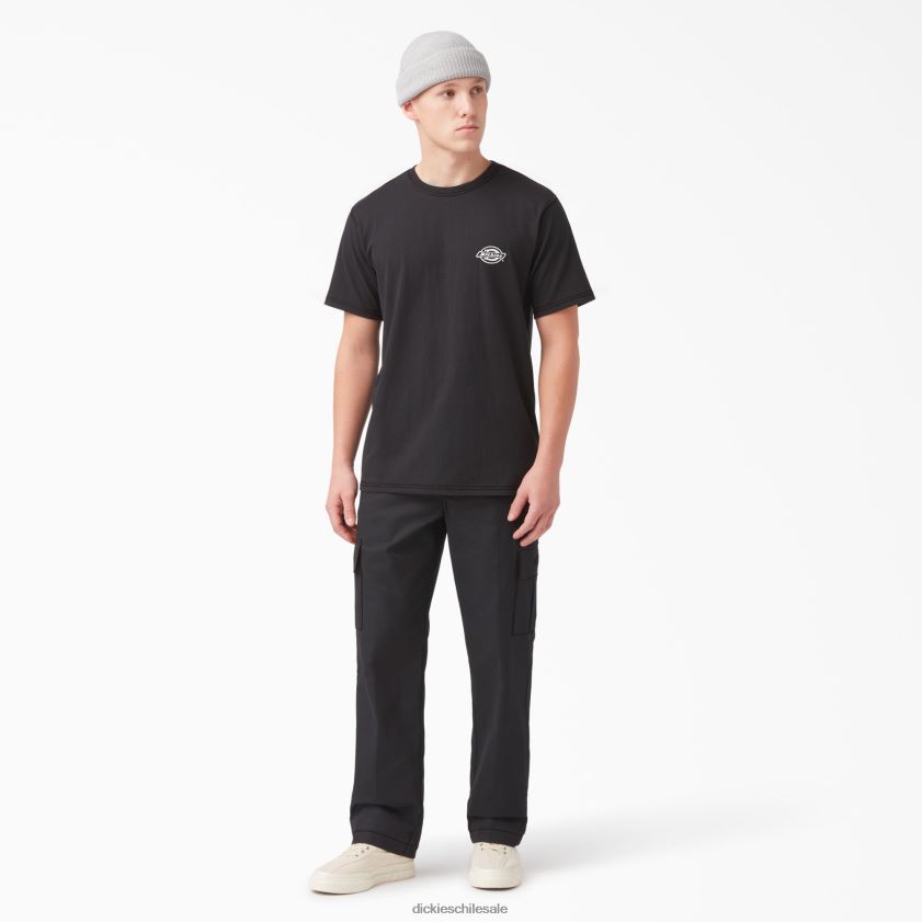 negro (kbk) hombres camiseta gráfica con logo en la espalda Dickies vestir X4H0F749