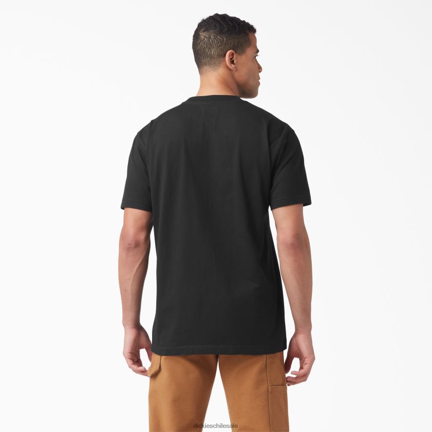 negro (kbk) hombres playera de manga corta con estampado gráfico Dickies vestir X4H0F815