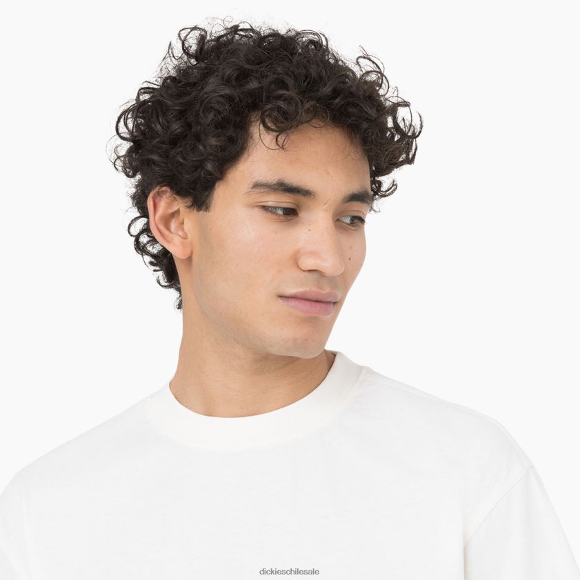 nube (cl9) hombres camiseta de manga corta Dickies vestir X4H0F755