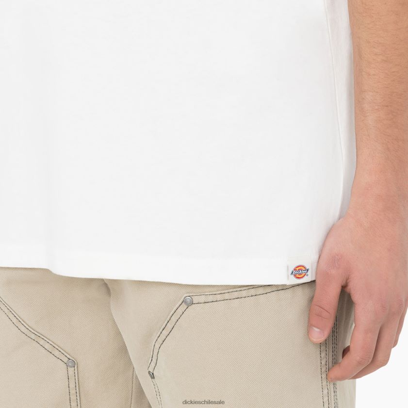 nube (cl9) hombres camiseta de manga corta Dickies vestir X4H0F755