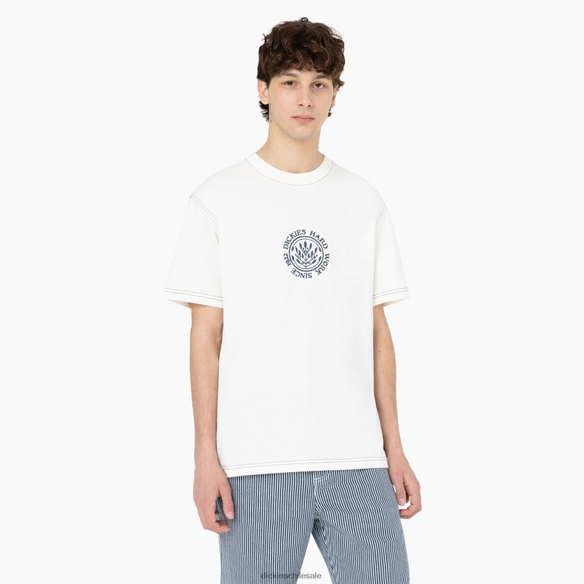 nube (cl9) hombres playera de manga corta beavertown Dickies vestir X4H0F873