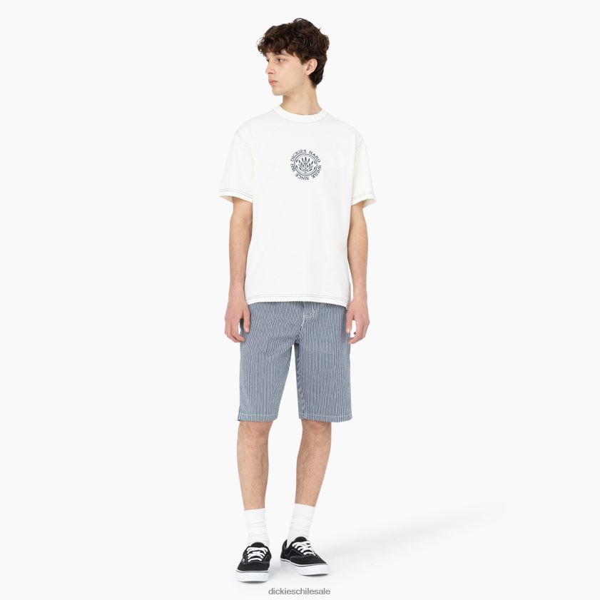 nube (cl9) hombres playera de manga corta beavertown Dickies vestir X4H0F873