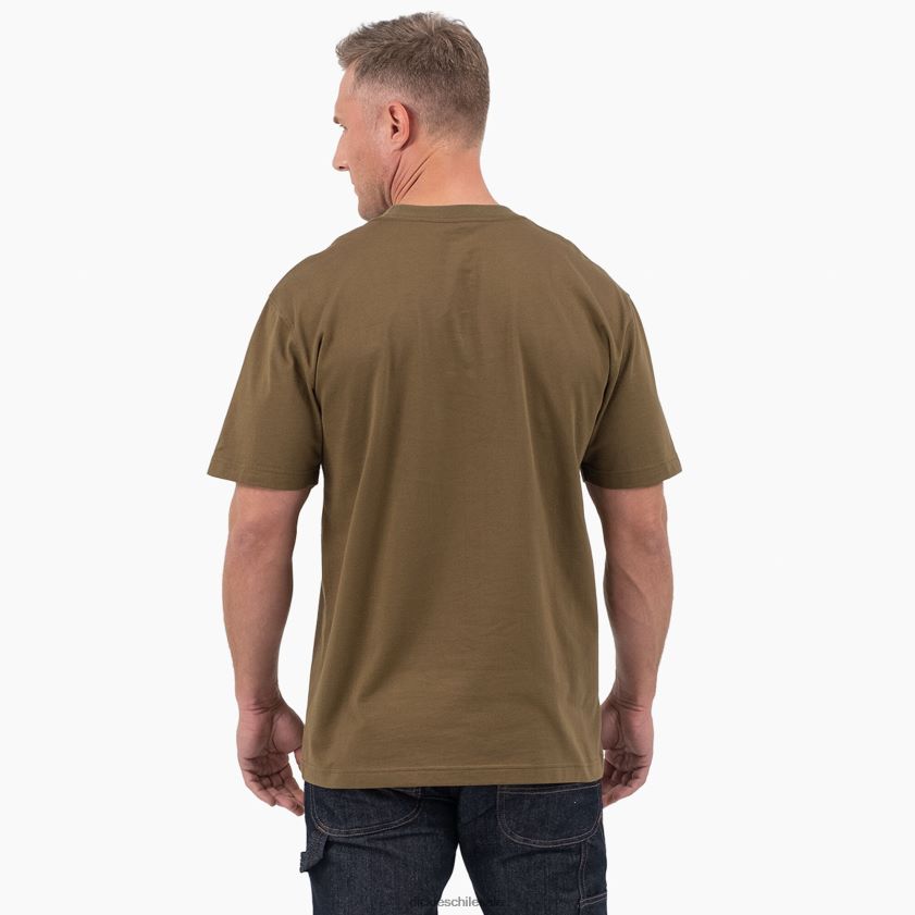oliva oscuro (dv9) hombres playera de manga corta con estampado gráfico Dickies vestir X4H0F812
