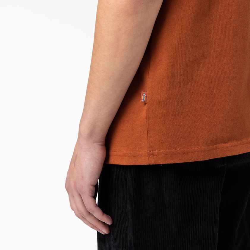 pan de jengibre marrón (es decir) hombres camiseta gráfica con logo en la espalda Dickies vestir X4H0F748