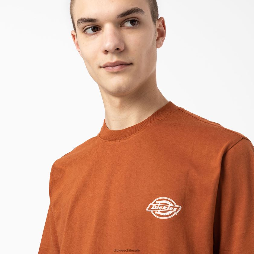 pan de jengibre marrón (es decir) hombres camiseta gráfica con logo en la espalda Dickies vestir X4H0F748