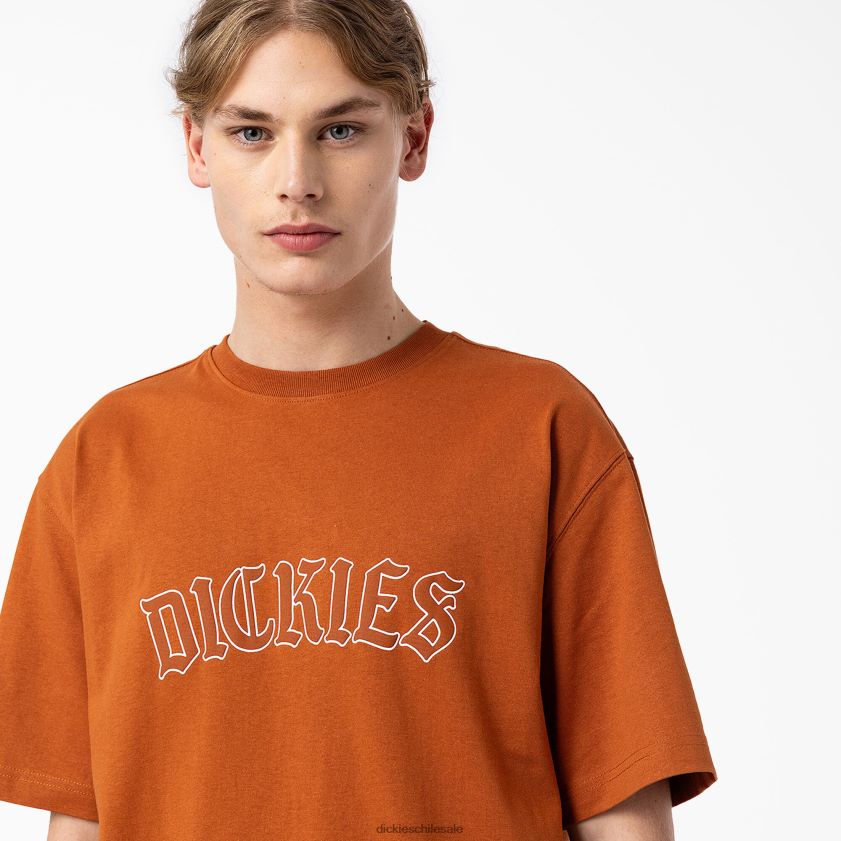 pan de jengibre marrón (es decir) hombres playera de manga corta Union Springs Dickies vestir X4H0F798