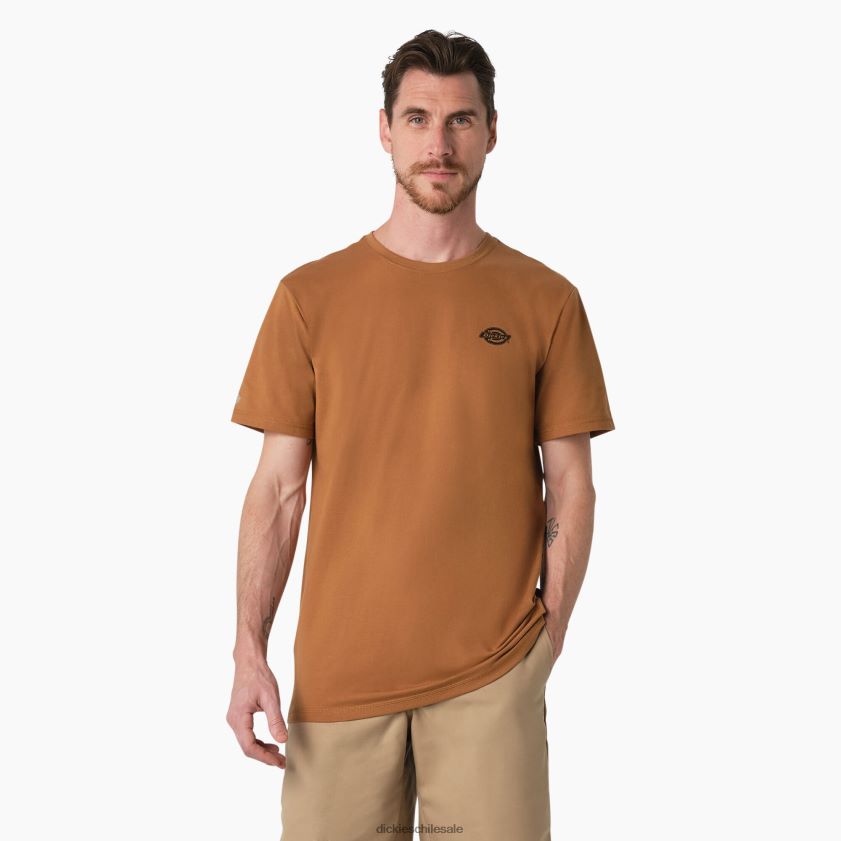 pato marrón (bd) hombres camiseta gráfica rendimiento de enfriamiento Dickies vestir X4H0F900
