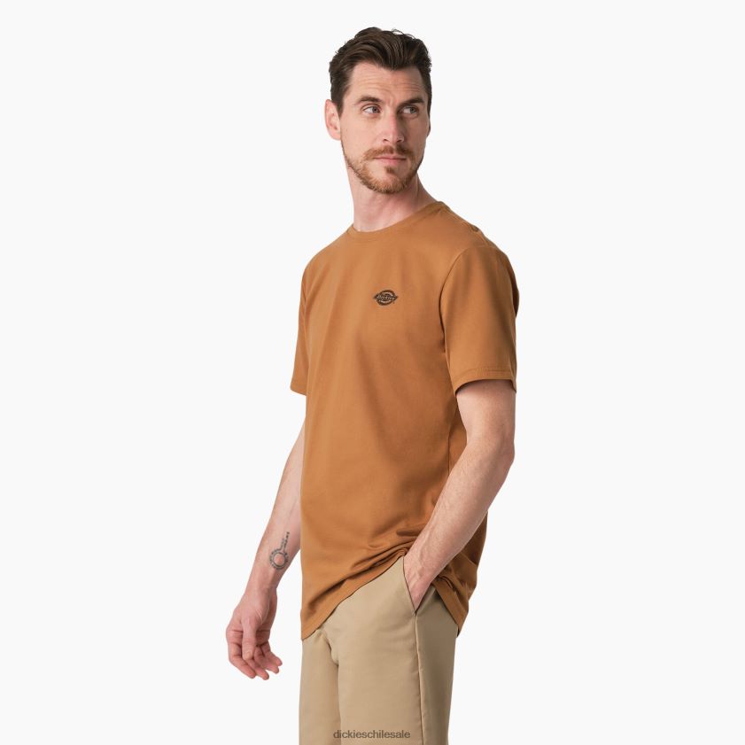pato marrón (bd) hombres camiseta gráfica rendimiento de enfriamiento Dickies vestir X4H0F900