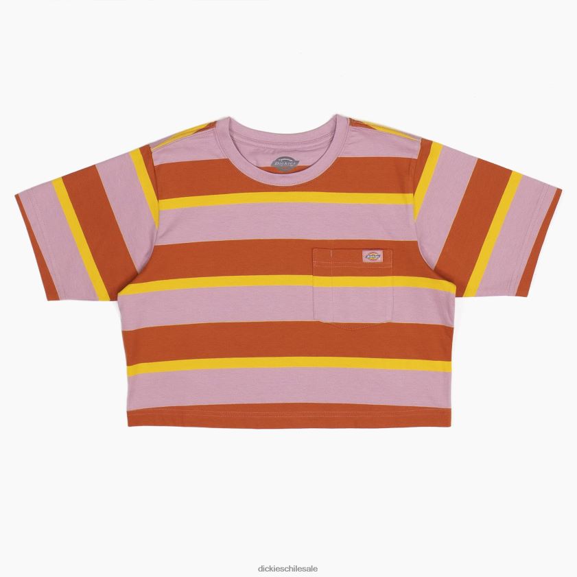 raya colegial zorro jengibre (xsr)