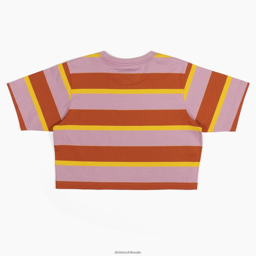 raya colegial zorro jengibre (xsr) mujer camiseta corta a rayas Dickies vestir X4H0F2017