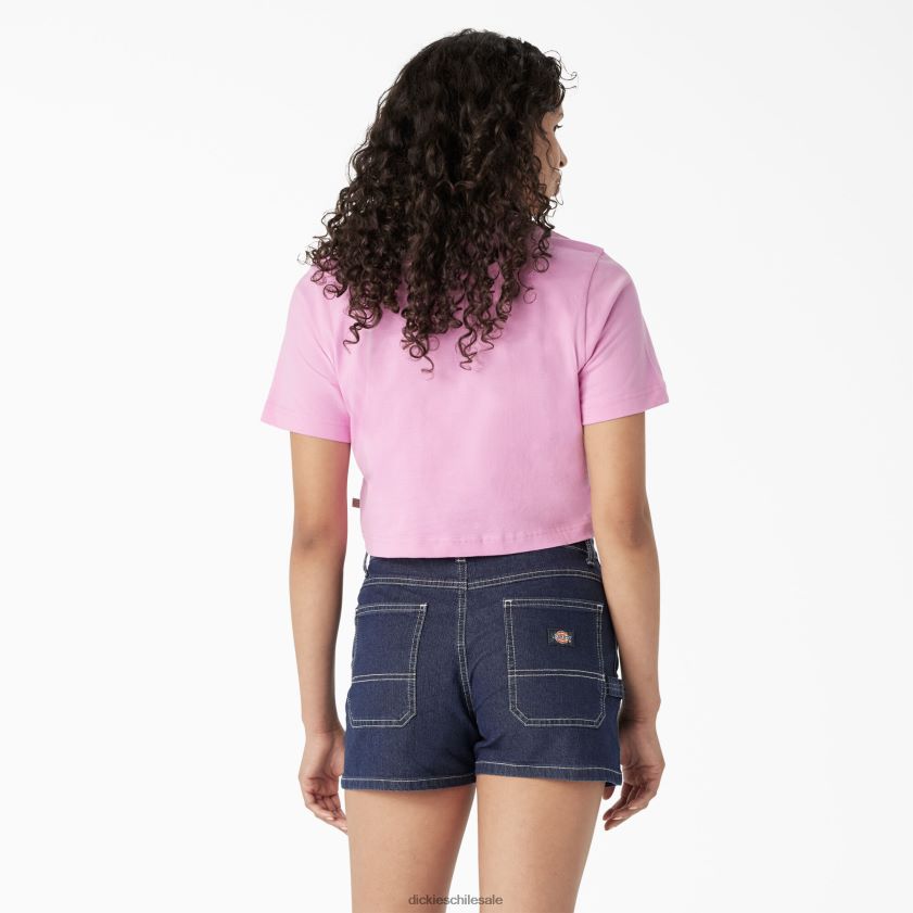 rosa salvaje (wr2) mujer camiseta corta con estampado del desierto Dickies vestir X4H0F2134