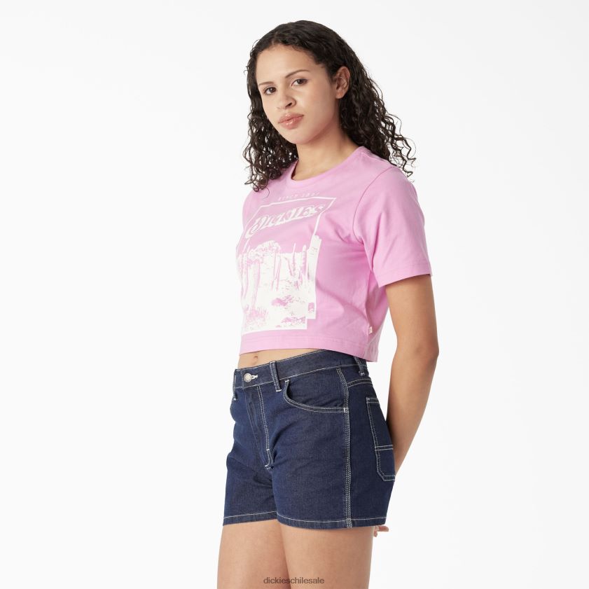 rosa salvaje (wr2) mujer camiseta corta con estampado del desierto Dickies vestir X4H0F2134