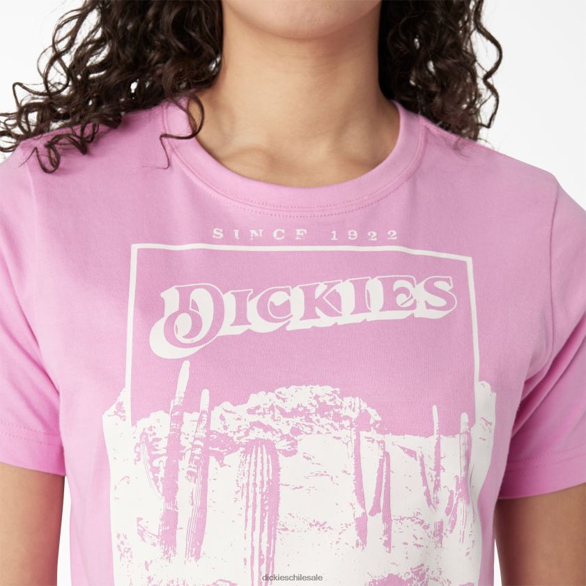 rosa salvaje (wr2) mujer camiseta corta con estampado del desierto Dickies vestir X4H0F2134