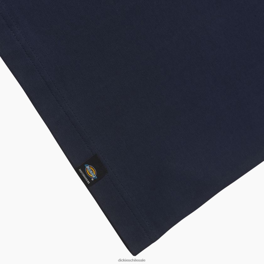 tinta azul marino (ik) hombres jake hayes camiseta gráfica Dickies vestir X4H0F648