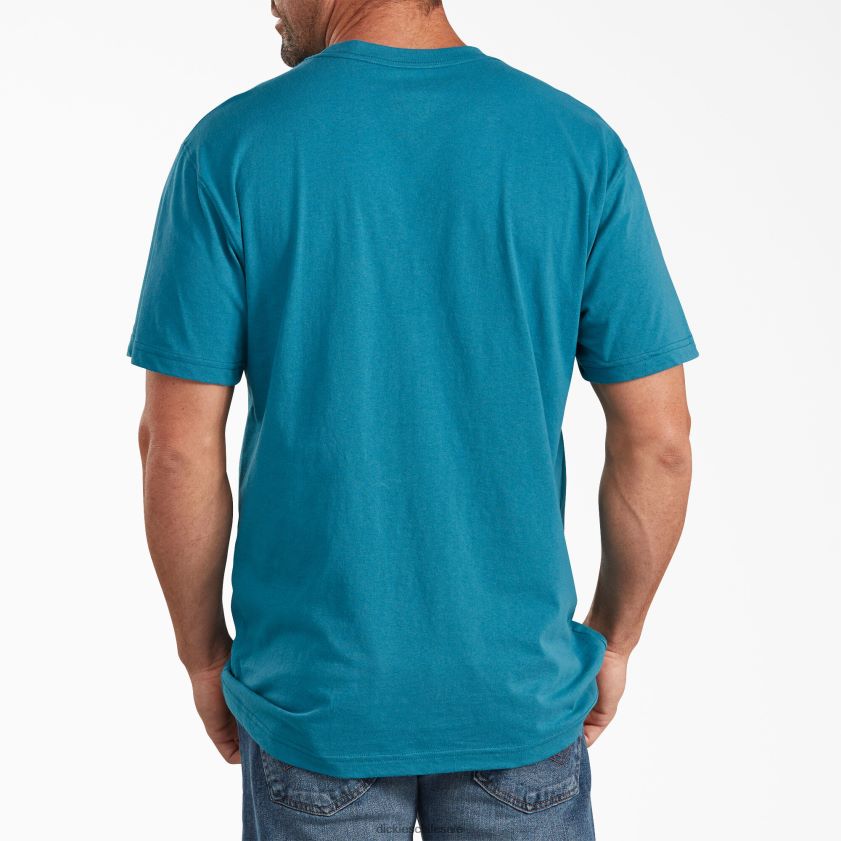 verde azulado (tl) hombres playera gráfica de manga corta con ajuste holgado Dickies vestir X4H0F846