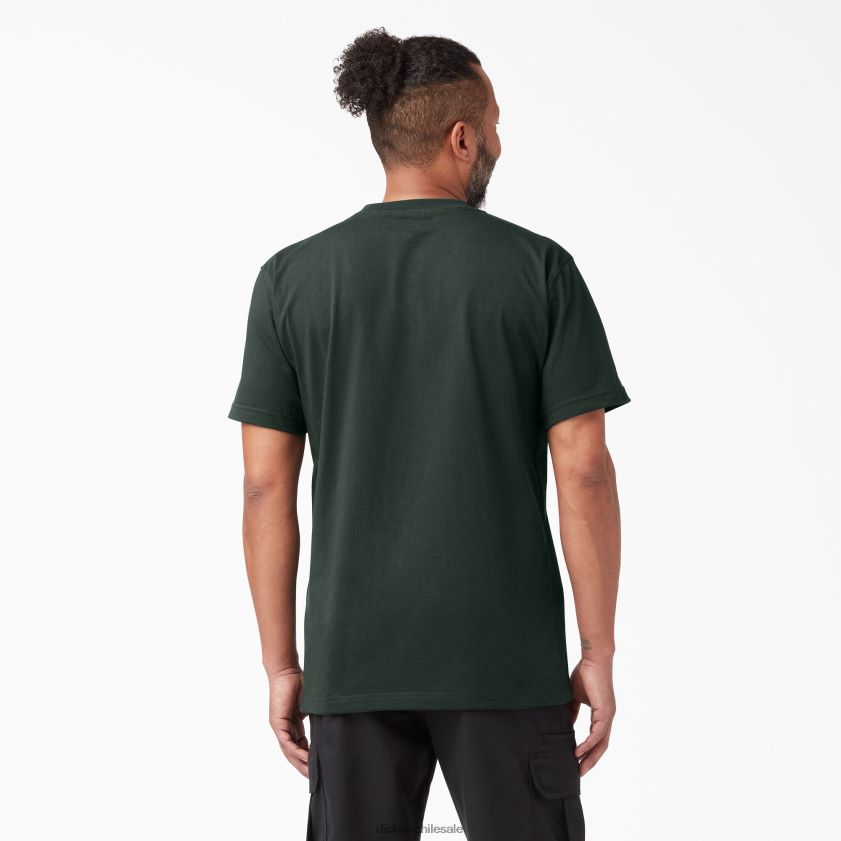 verde cazador (gh) hombres camiseta de manga corta de peso pesado Dickies vestir X4H0F516