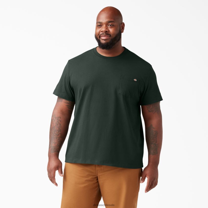 verde cazador (gh) hombres camiseta de manga corta de peso pesado Dickies vestir X4H0F516