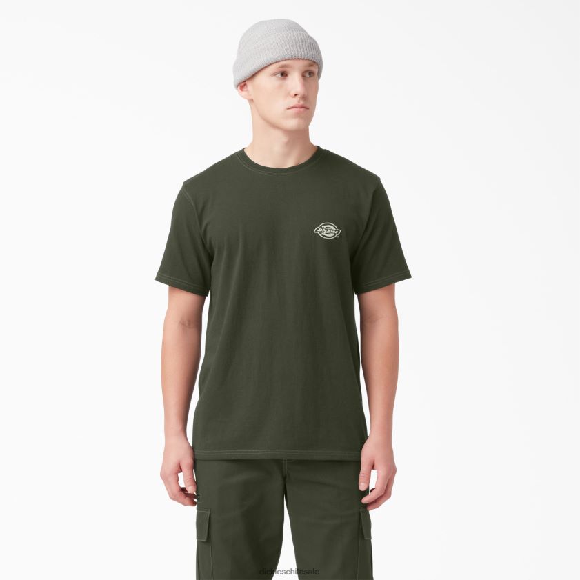 verde oliva (og) hombres camiseta gráfica con logo en la espalda Dickies vestir X4H0F750