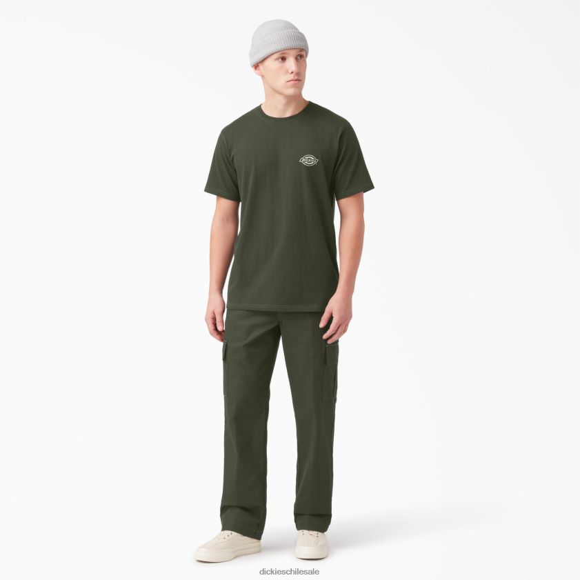 verde oliva (og) hombres camiseta gráfica con logo en la espalda Dickies vestir X4H0F750