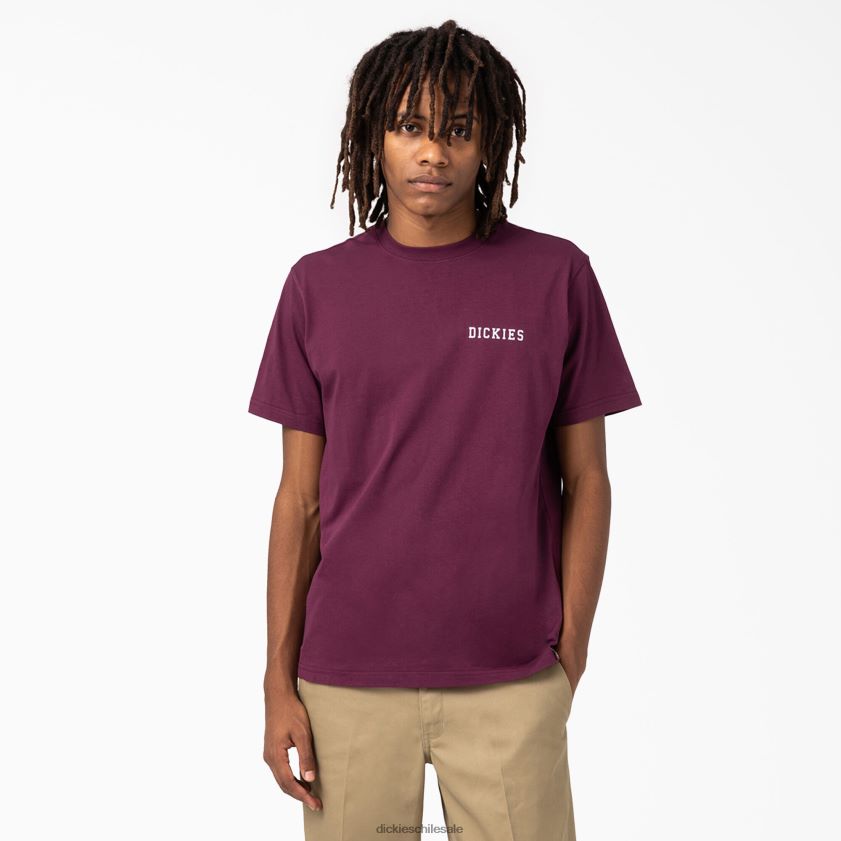 vino de uva (gw9) hombres playera de manga corta con gráfico de cleveland Dickies vestir X4H0F847