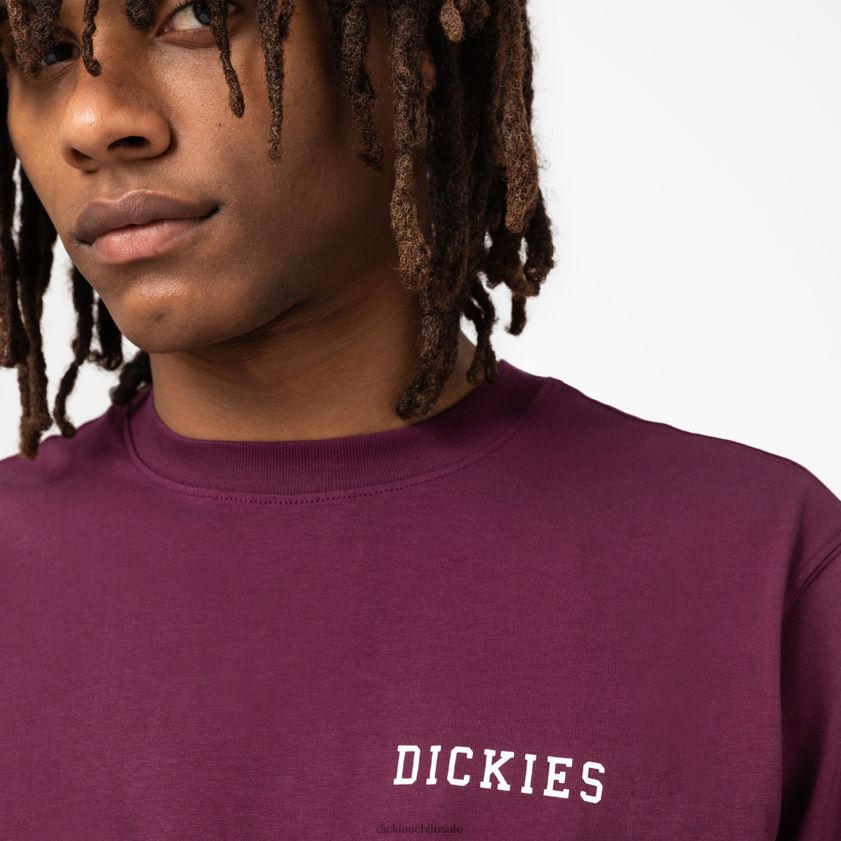 vino de uva (gw9) hombres playera de manga corta con gráfico de cleveland Dickies vestir X4H0F847