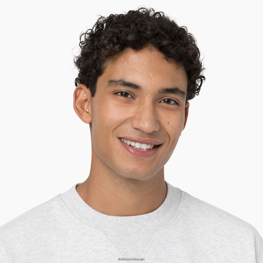 gris jaspeado (hg) hombres sudadera con capucha Dickies vestir X4H0F974