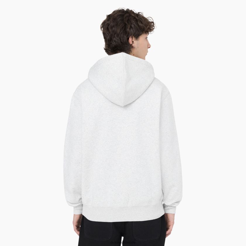 gris jaspeado (hg) hombres sudadera con capucha de verano Dickies vestir X4H0F1182