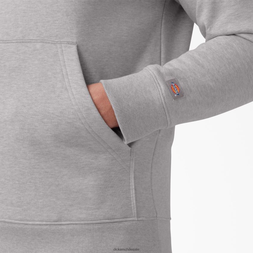 gris jaspeado (hg) hombres sudadera con capucha y logo tricolor repelente al agua Dickies vestir X4H0F1106