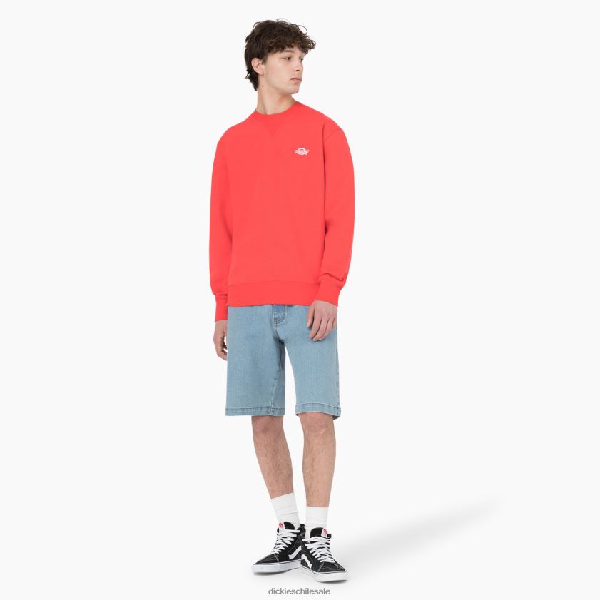 ibis escarlata (s2s) hombres sudadera con capucha Dickies vestir X4H0F976