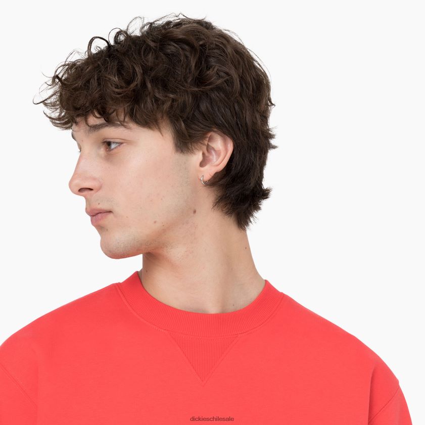 ibis escarlata (s2s) hombres sudadera con capucha Dickies vestir X4H0F976