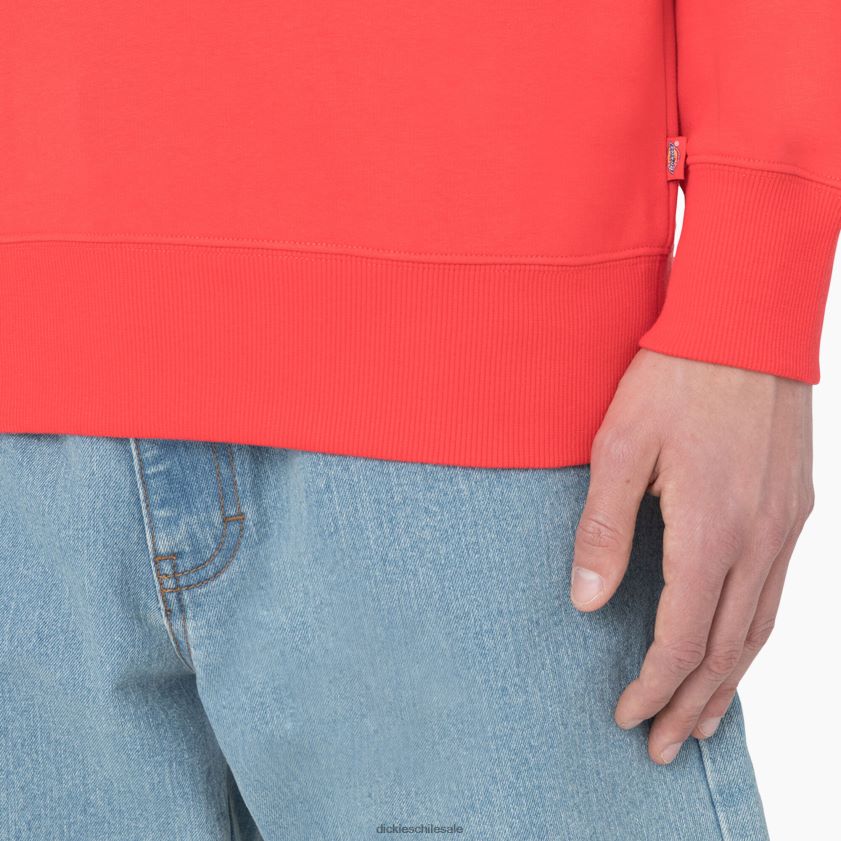 ibis escarlata (s2s) hombres sudadera con capucha Dickies vestir X4H0F976