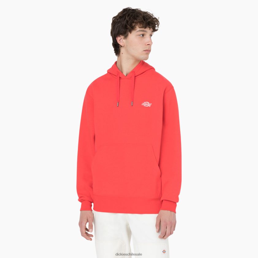 ibis escarlata (s2s) hombres sudadera con capucha de verano Dickies vestir X4H0F1184