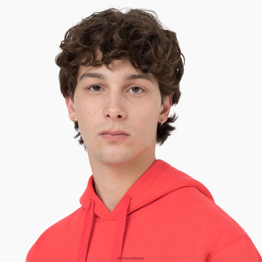 ibis escarlata (s2s) hombres sudadera con capucha de verano Dickies vestir X4H0F1184