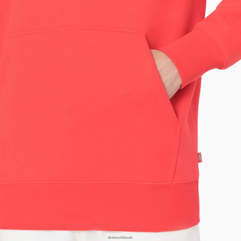 ibis escarlata (s2s) hombres sudadera con capucha de verano Dickies vestir X4H0F1184