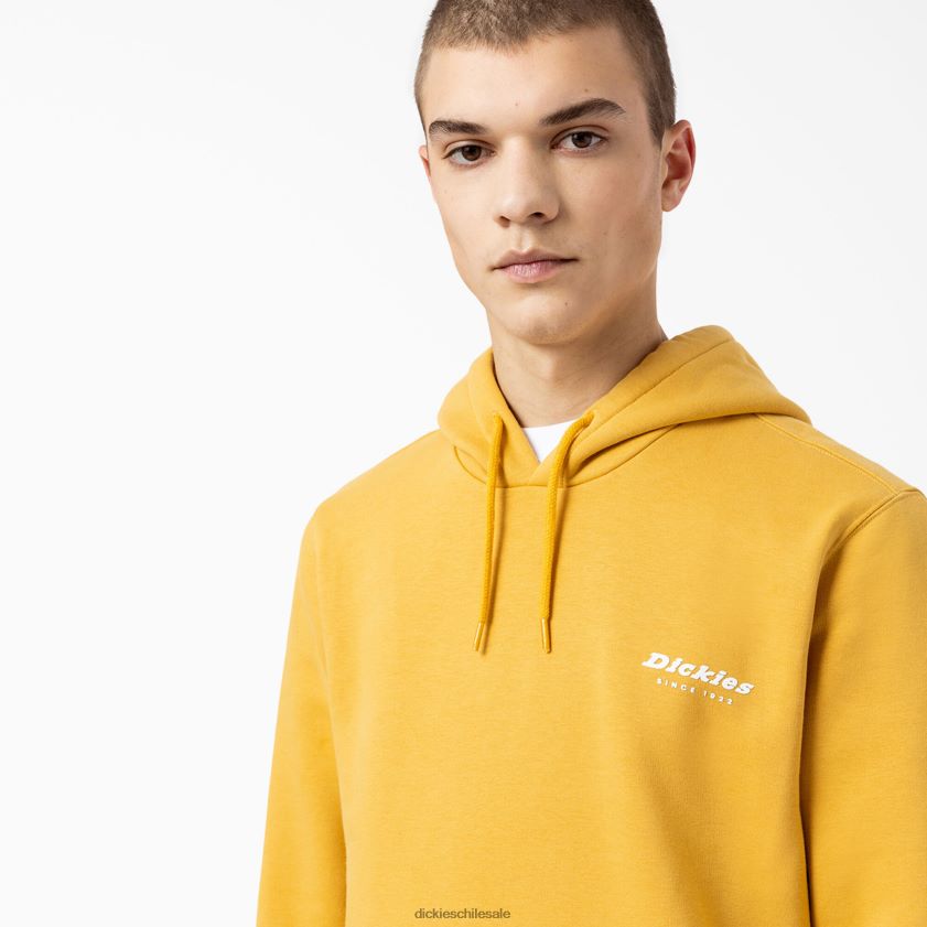 regular hombres sudadera con capucha y gráfico camden box Dickies vestir X4H0F1166