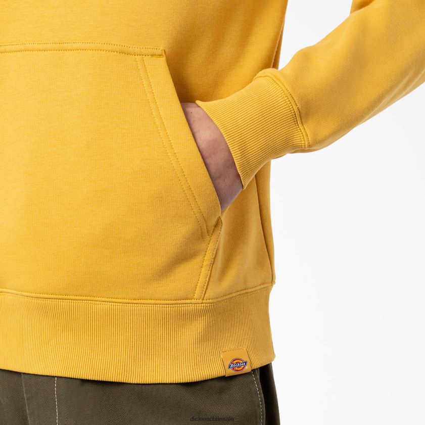 regular hombres sudadera con capucha y gráfico camden box Dickies vestir X4H0F1166