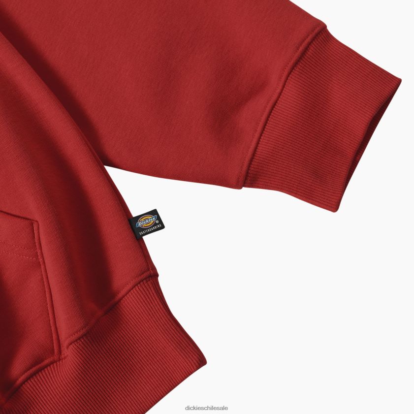 regular hombres sudadera con capucha y gráfico de jake hayes Dickies vestir X4H0F1087