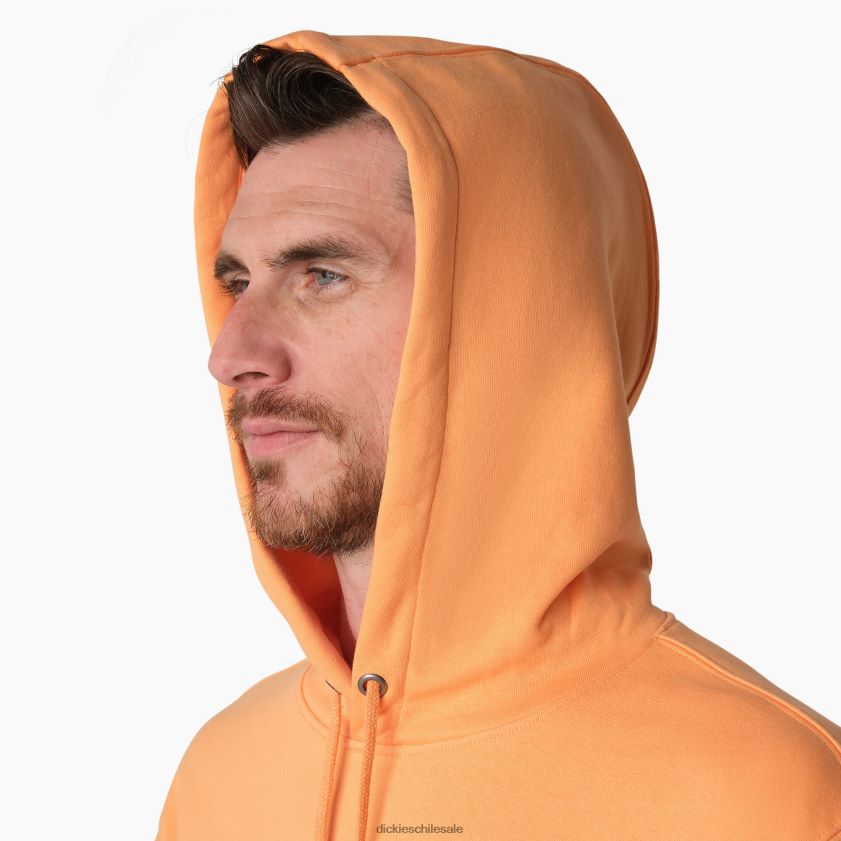 regular hombres sudadera con capucha y logo bordado en el pecho Dickies vestir X4H0F1210