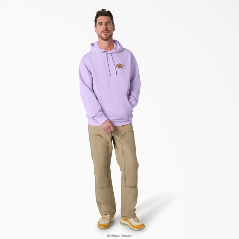 regular hombres sudadera con capucha y logo bordado en el pecho Dickies vestir X4H0F1211