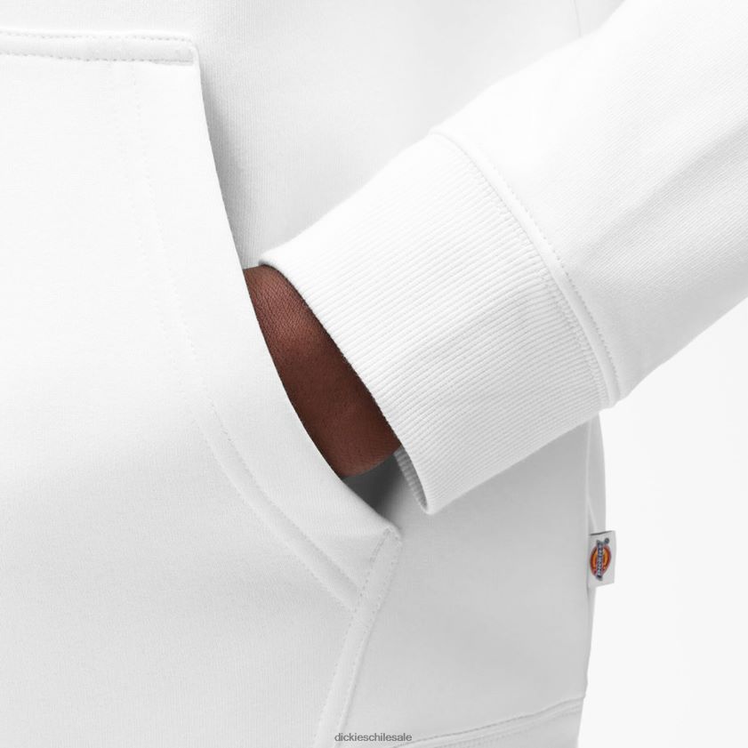 regular hombres sudadera con capucha y logo bordado en el pecho Dickies vestir X4H0F1212