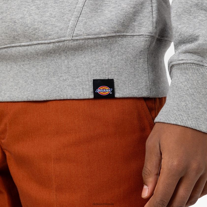 regular hombres sudadera con capucha y logo de Union Springs Dickies vestir X4H0F1151