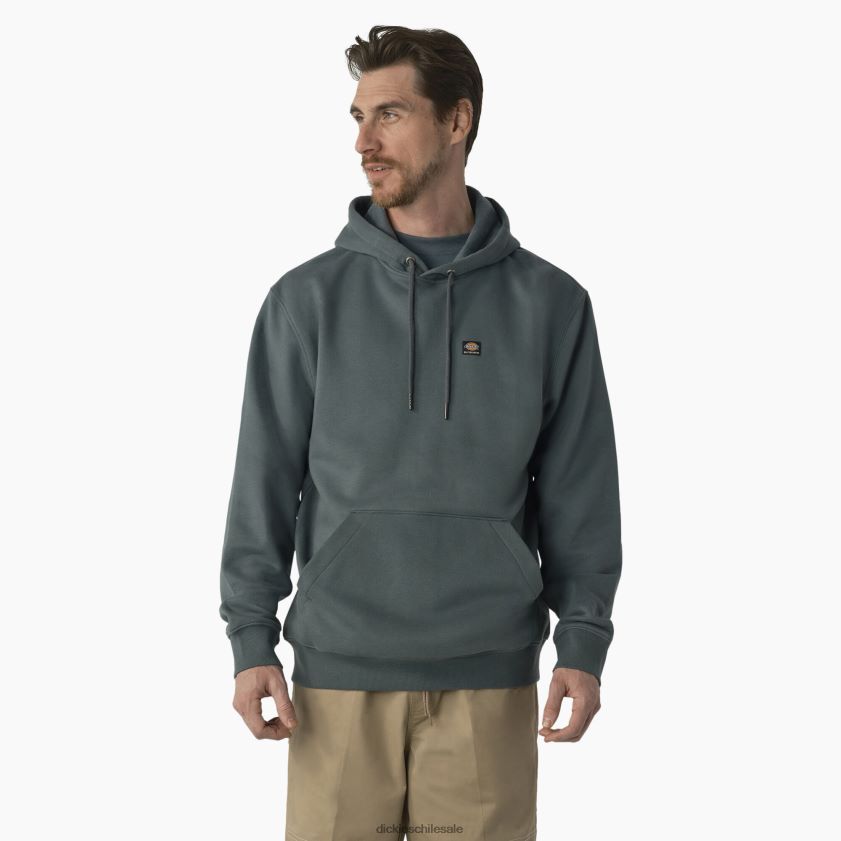 regular hombres sudadera con capucha y logo en el pecho Dickies vestir X4H0F1137