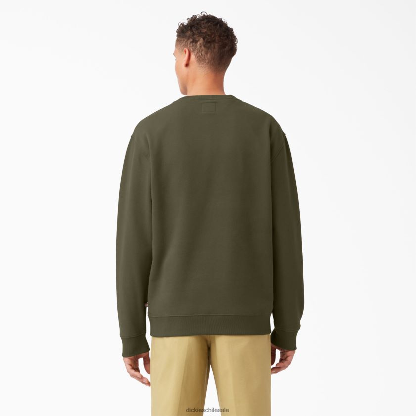 regular hombres sudadera con gráfico del logo Dickies vestir X4H0F1213