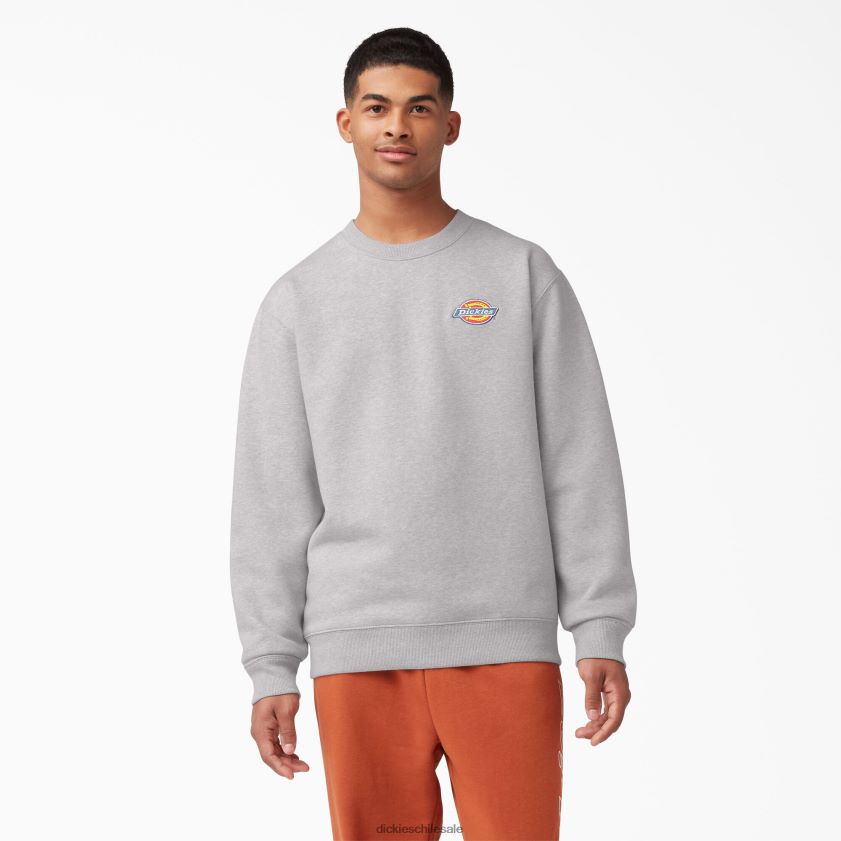 regular hombres sudadera con logo bordado en el pecho Dickies vestir X4H0F1131
