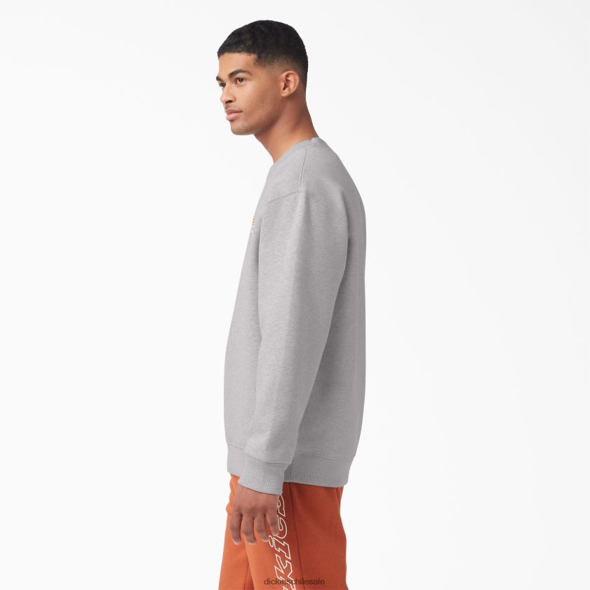 regular hombres sudadera con logo bordado en el pecho Dickies vestir X4H0F1131